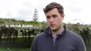 Robot Revolution Meets the Horticulture Industry