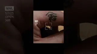 Hand-done Eye of Horus. First mark of the year. #EyeOfHorus #HandPoked