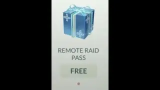 Remote Raid Pass box