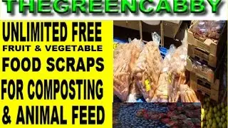 UNLIMITED FREE FRUIT & VEGETABLE FOOD SCRAPS - HOW TO COMPOST ON A BUDGET & FEED ANIMALS