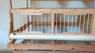 Acompanhando a fabricação das gaiolas das codornas