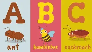 ABC Insects for Kids | Learn Alphabet with Insects | A to Z Bug Learning Video