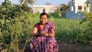 आज बागेतली झाडं छाटली, गवत उपटून घेतलं🙏 #जुन्नरच्या सूनबाई.