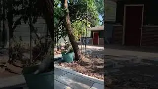 #backyardvibes #backyardtransformation #patio