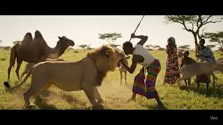 A LION ATTACKING A NOMADIC SOMALI FAMILY ANIMALS