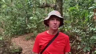 Rdotennis:  Greg nel bush australiano