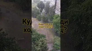 Humor #life #коміки #comedy #comment #like #життя #секрет