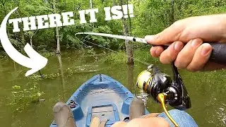 Searching for Chickamauga Lake Bass on my KAYAK