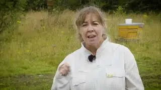 Ballygarry Estate Series - Episode 5 - Gina & The Bees