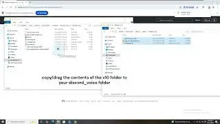 How to Install Filterless Discord Voice Modules