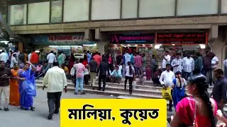 কুয়েত সিটির মালিয়া শহর | Maliya In Kuwait City