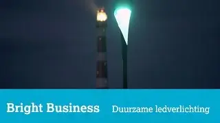 Deze led-straatverlichting is zuinig en vogelvriendelijk
