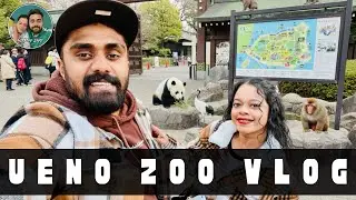 Ueno Zoo Tour (Tickets, Hours, & Everything to See!)