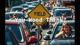 Yield to the Kings of the Road Driving Rants and Life Lessons