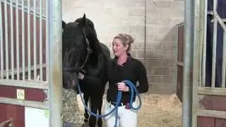 Crack on, with no drama - Meet Jess Wilson | Interview | Horse & Hound
