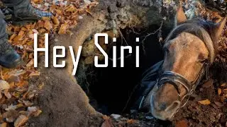 Hey Siri // Oryginal Equestrian music video 