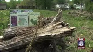 Greater High Point Food Alliance App
