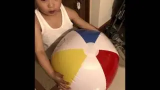 Beach Ball : INTEX BALL (Glossy Panel Ball)