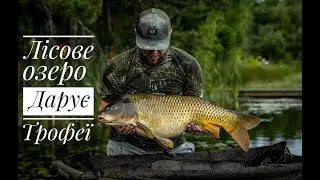 Лісове озеро 