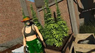 TUTORIAL COMPLETO: Como PLANTAR CANNABIS e FUMAR no SCUM!