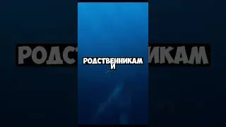 Офтальмозавр.  #факты #наука #космос #факты #наука #космос #новости #мистика #земля #мистика #люди