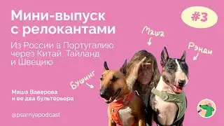 Мини-выпуск с релокантами. Маша Ваверова #подкаст #собаки #путешествия #dogs #travel #podcast