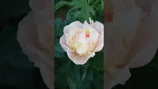 Прекрасные моменты в каждом дне❤️ Wonderful moments in every day ❤️ 매일의 멋진 순간들 ❤️