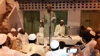Hadi Javed