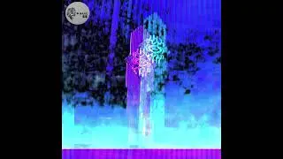 SCRT C0NN3CT0R - SIDE D - OFFLINE (VAPORBREAKS MILLENNIUM MIX)