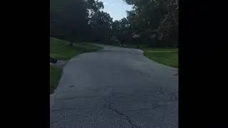Mario and Luigi zooming down the street!