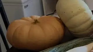 day 14 of the every bit counts challenge. May the best pumpkin win 😉