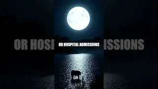 Does the Full Moon Affect Human Behavior?