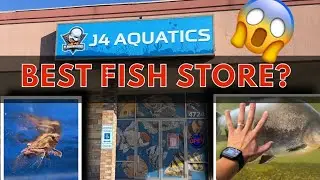 Revisiting my favorite aquarium shop!
