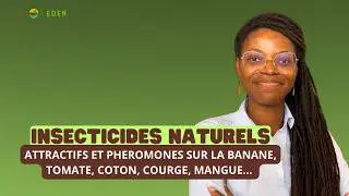 INSECTICIDES NATURELS pour PLANTES
