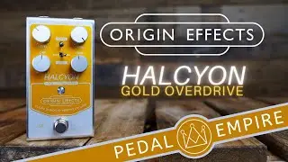 Origin Effects Halcyon Gold Overdrive - Pedal Empire