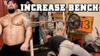 Brandon Lilly Cube Predator Bench Press Program | Powerlifting Competition Prep