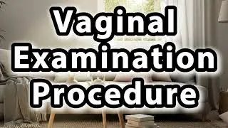 What does Vaginal Examination Procedure mean | Vaginal Examination Procedure meaning explained