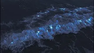 Hymn to the Sea | slowed+Reverb