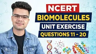 Biomolecules | NCERT Exercise Questions | CBSE/HBSE/NEET #biomolecules #ncertquestions