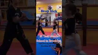 Taekwondo drop kick #taekwondomoves #brooklyn #kids #taekwondotechniques #boroughpark #newyorkcity