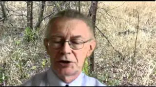 David Hopcroft Poem When the gates