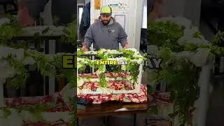 DIY Reptile Habitat: Painting & Greenery