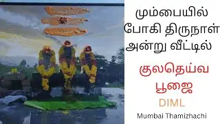 pogi celebration in mumbai /#video #pogi #celebration #festival #mumbai #dimlvlog #tamil