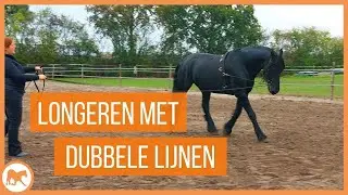 Leren longeren met dubbele longe
