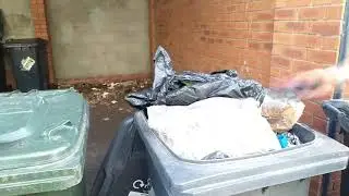 Episode 3: The one where the recycling bin gets contaminated