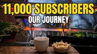 My YouTube Journey: 11,000 Subscribers & What’s Next