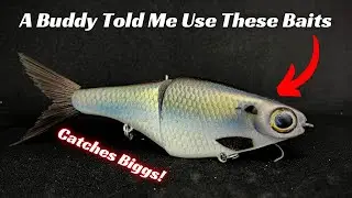 Other Anglers Told Me These Glide Baits Work. Do They?