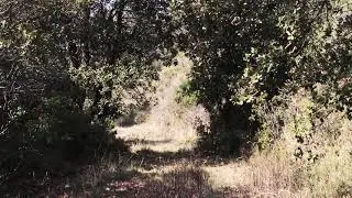 FUGITIVES 14 &middot; Irina Lankova piano, Isabelle Fran&ccedil;aix video