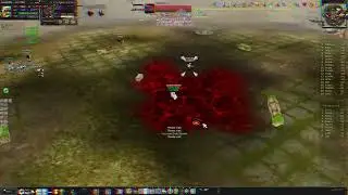 Aegis FlyFF | Clips from recent GSs | Levrette (MVP)