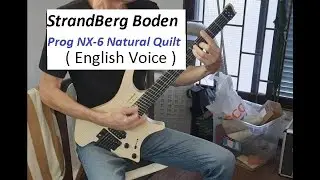 Strandberg Boden Prog NX 6